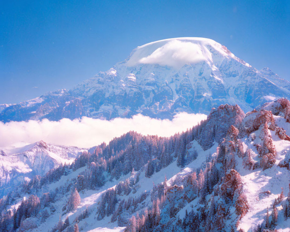 Snow-covered mountain peak above clouds with alpine slopes and pine trees against blue sky
