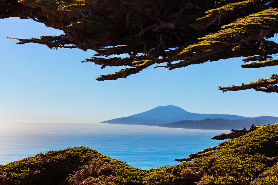 Scenic landscape with lush tree branches, distant mountain, sea, and clear sky
