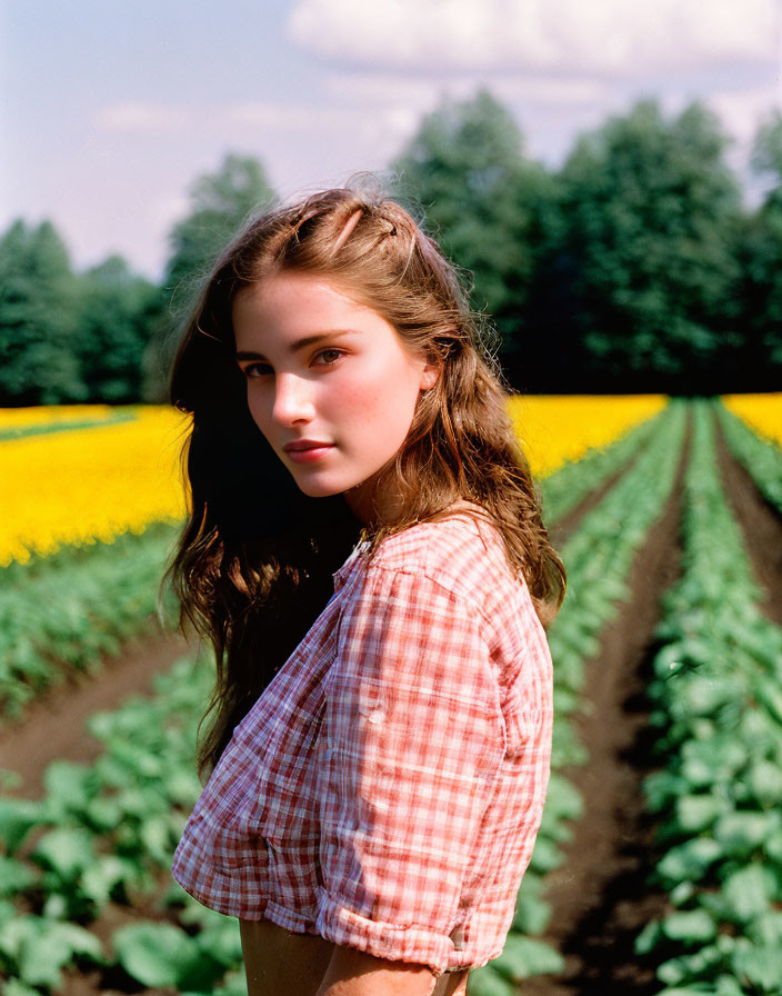 Young woman in checkered shirt in sunlit sunflower field.