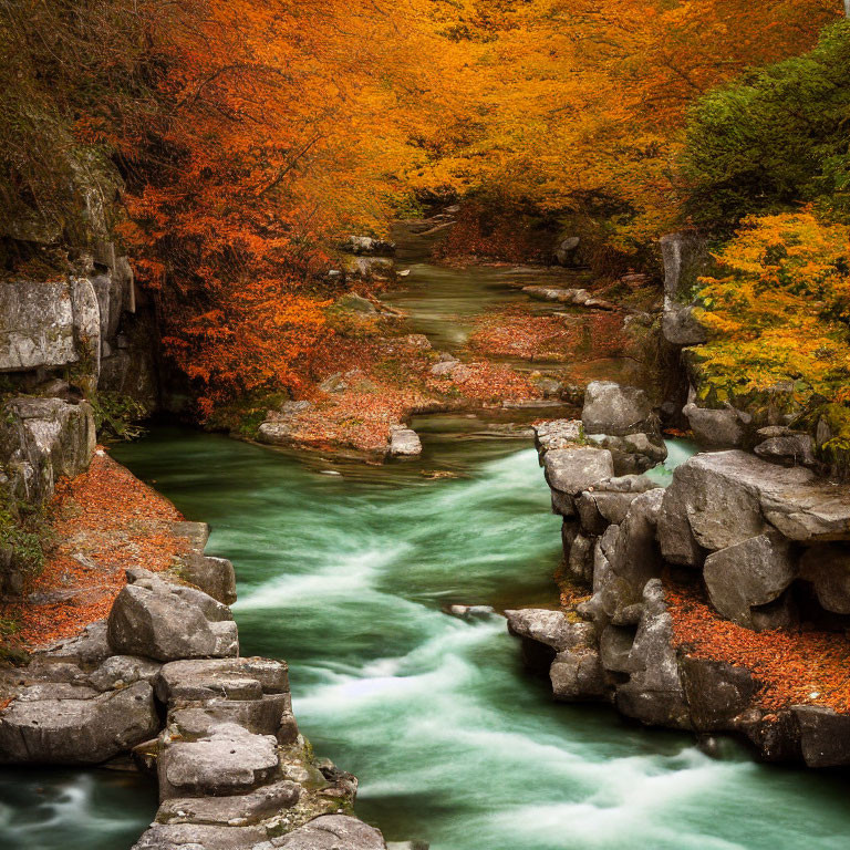 Tranquil River in Autumn Gorge with Vibrant Foliage