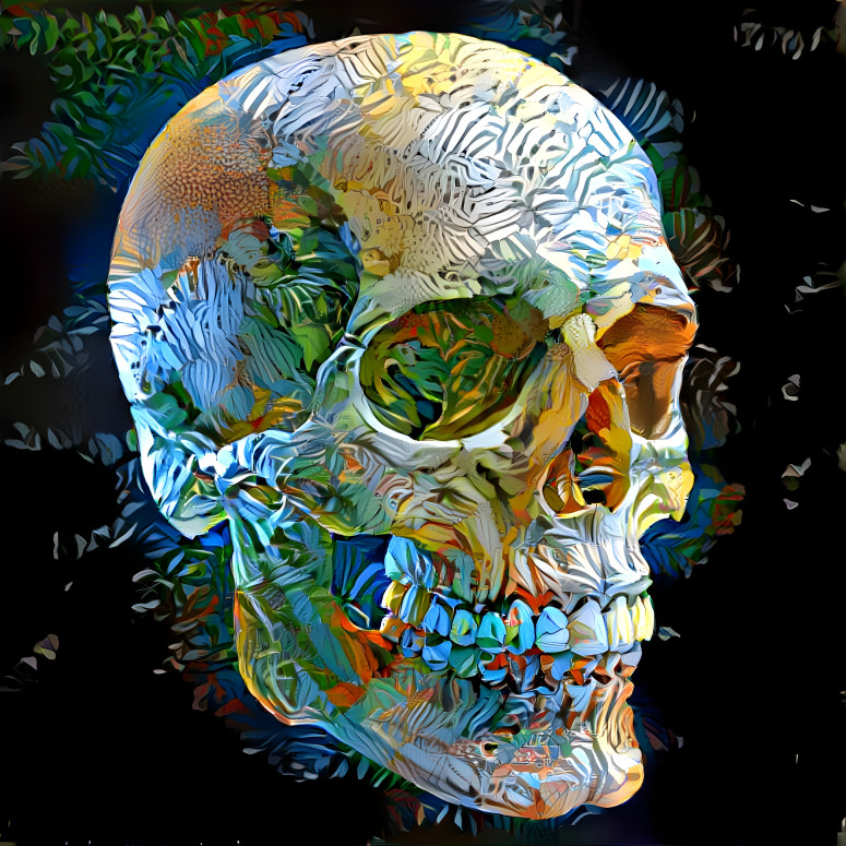 Funky Skull