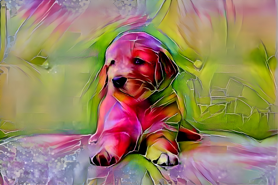 Colorful Pup
