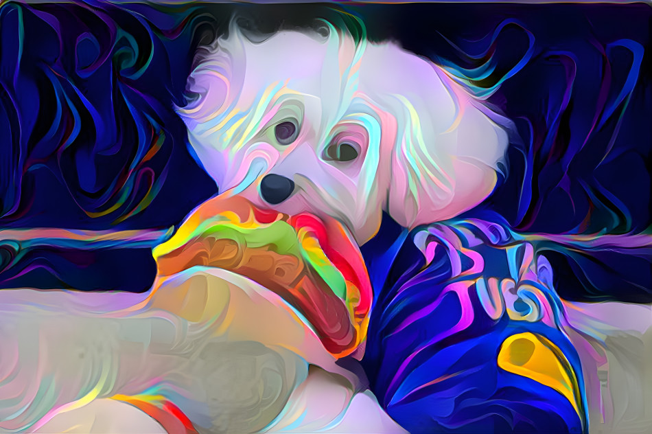 Taco Pup