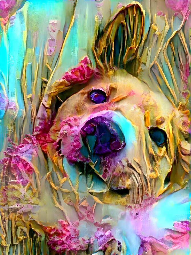Flowery Pup