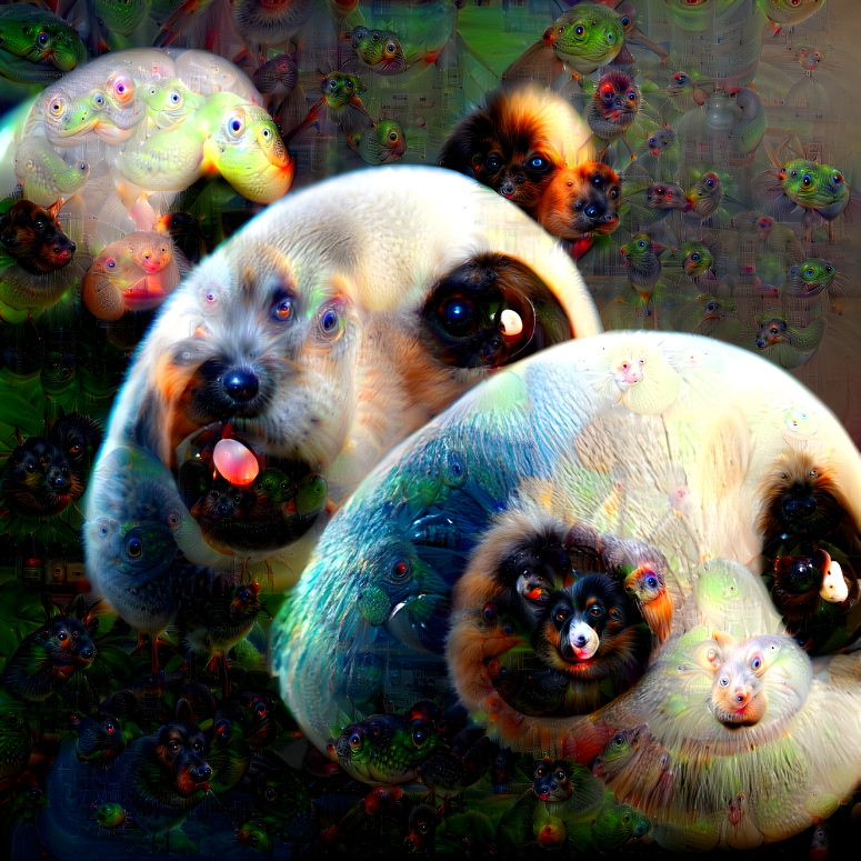 Panda-Turtle 2