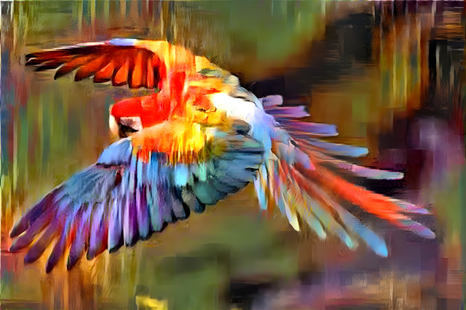parrot 