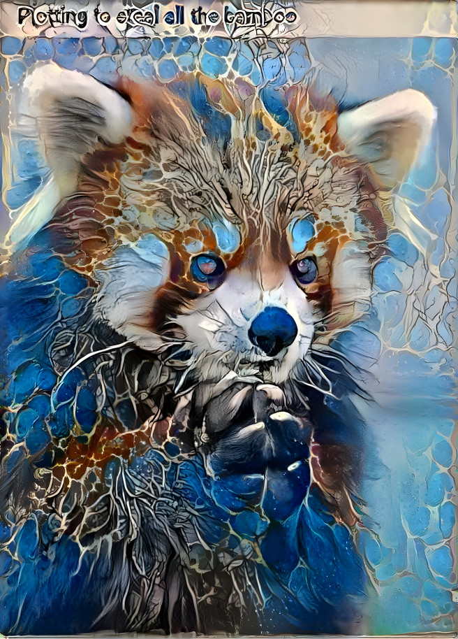 The Wise Red Panda