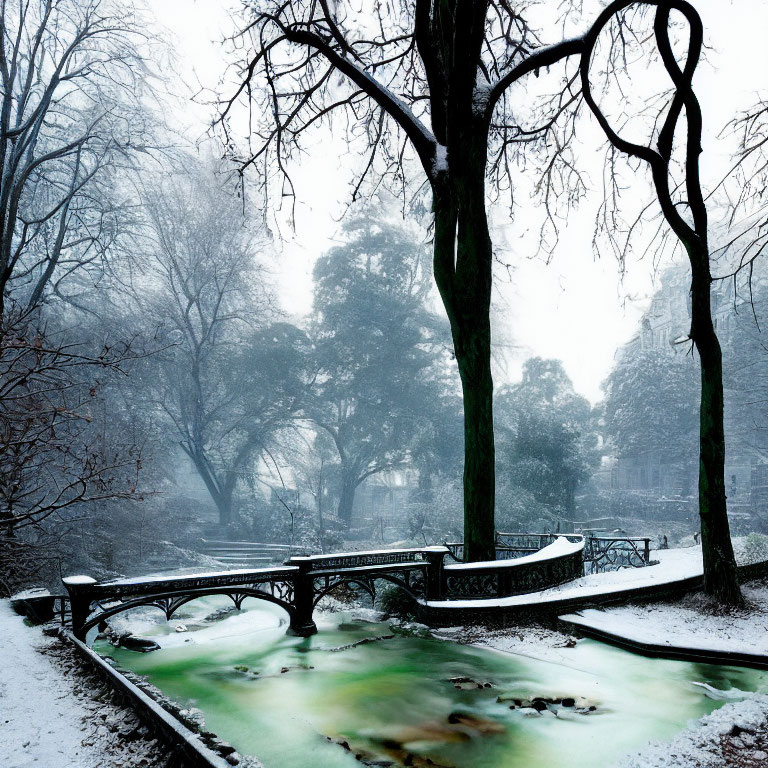 Snowy Park Scene: Bare Trees, Frozen Stream, Foggy Background
