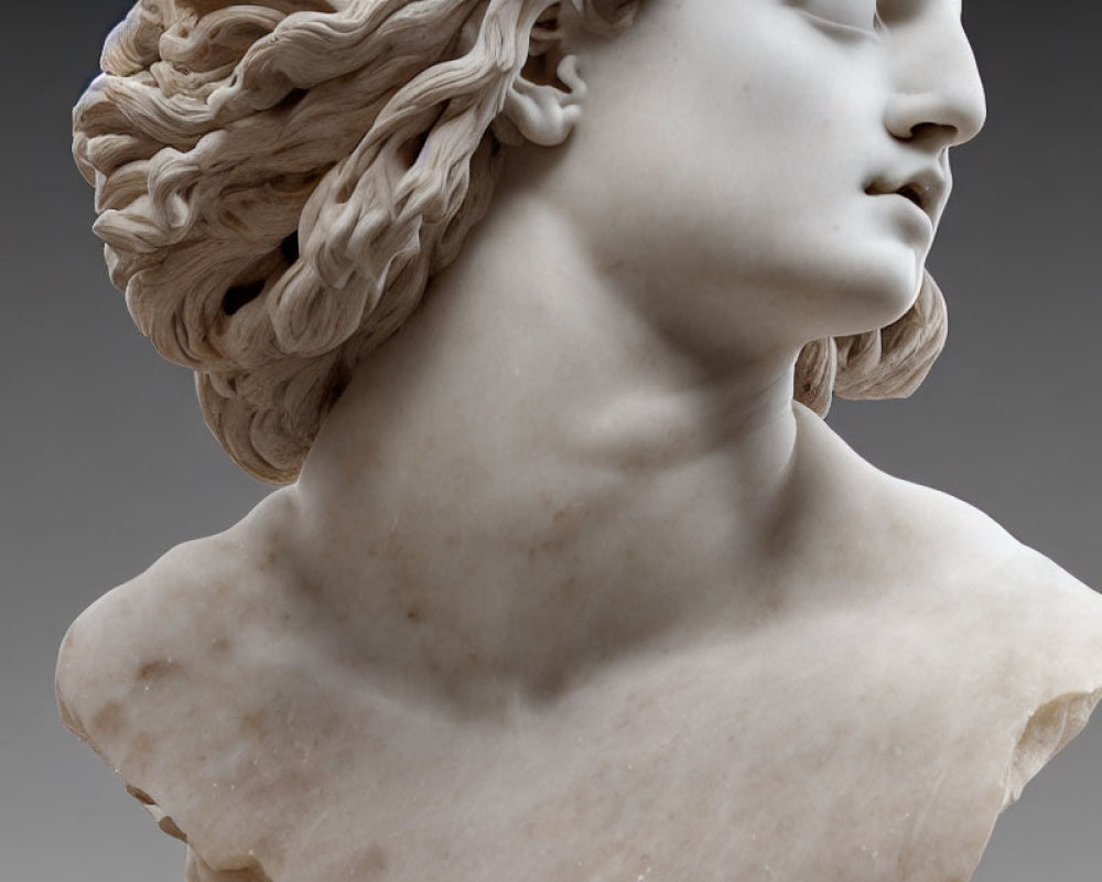 Detailed Carving of Classical Marble Bust: Hair, Expression, and Neck