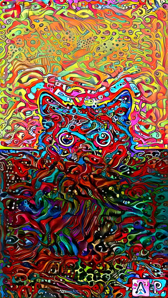 Peeping abstract cat