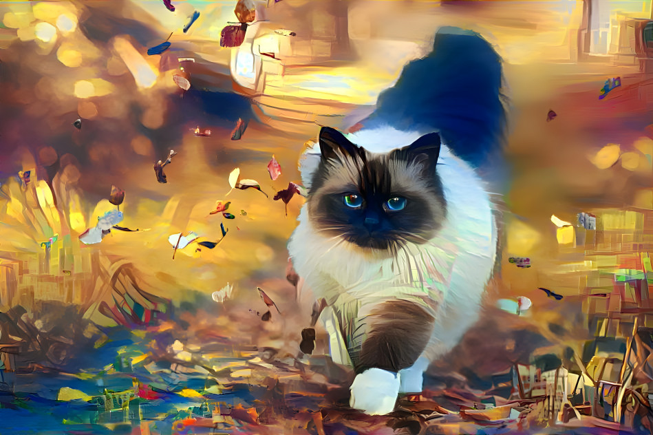 Walking cat through autumn