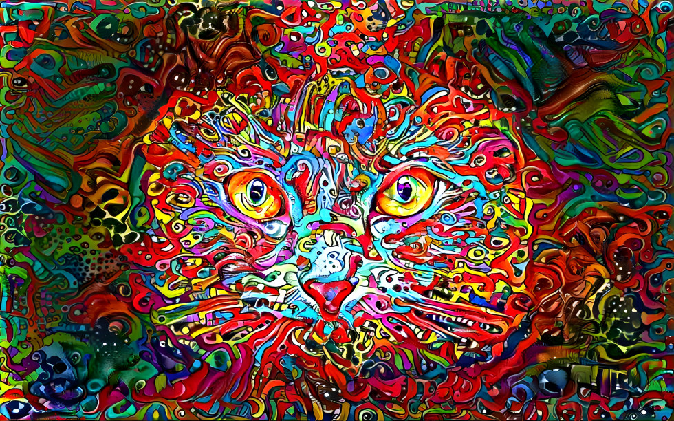 Abstract cat look