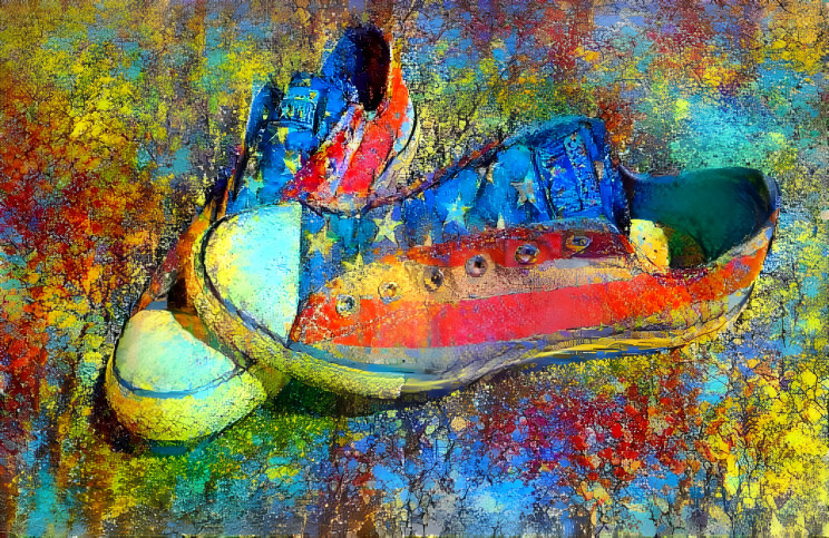 Painted shoes