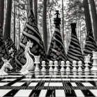 Monochrome Fantasy Chessboard with Unique Striped Pieces