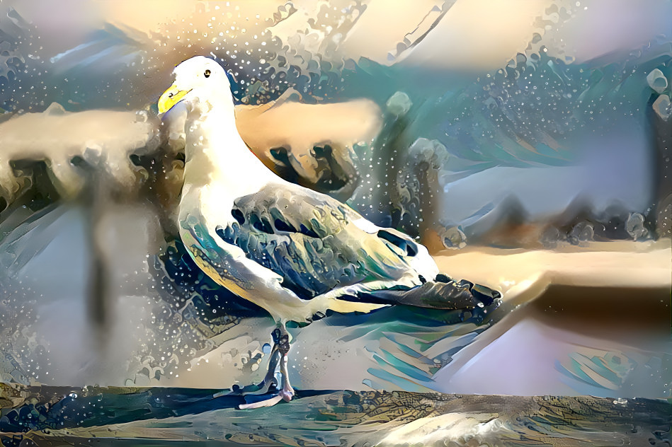 Slushy Seagull