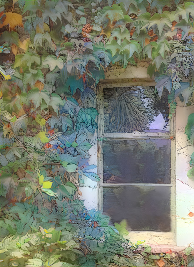 leafy window view