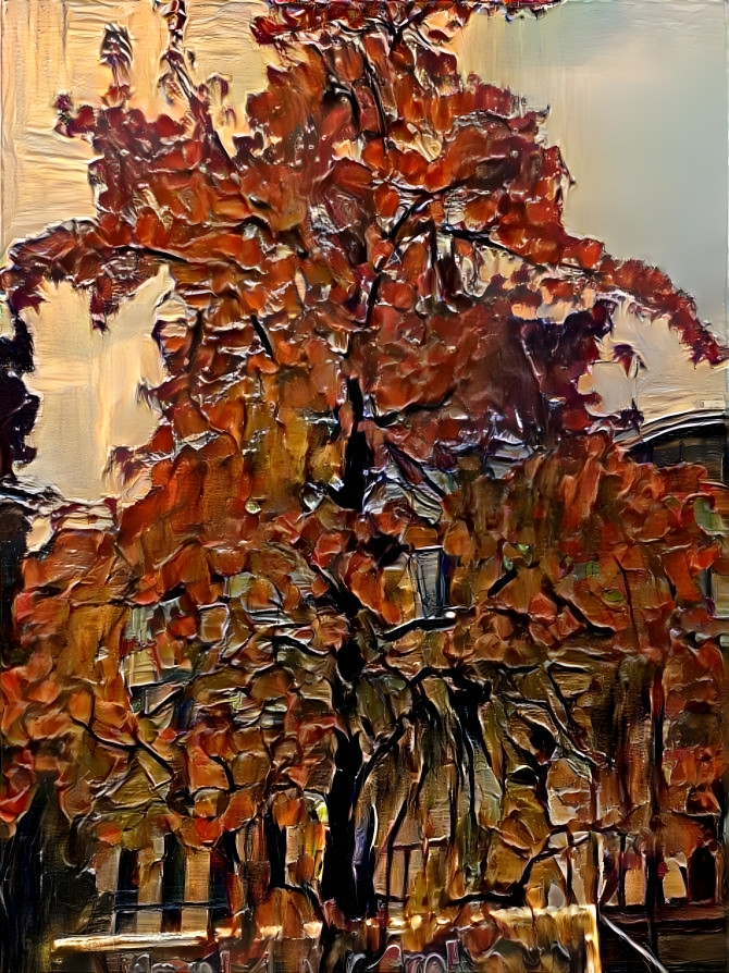 Autumn in Sheffield