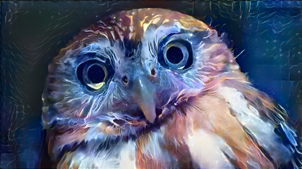 galactic owl
