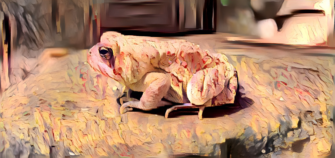 droopy painted toad