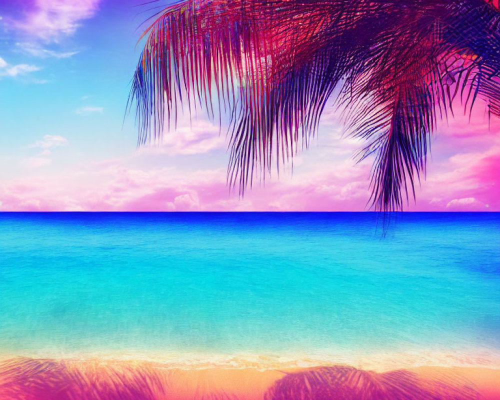 Tropical Beach Scene with Clear Blue Water and Palm Leaf Silhouette