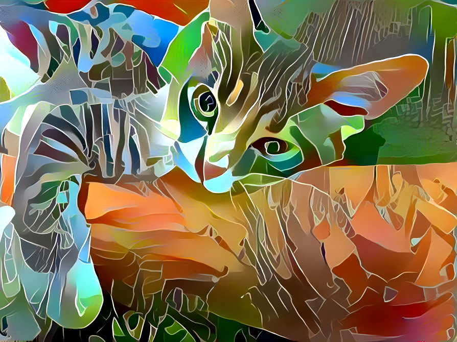 Wylde Cat