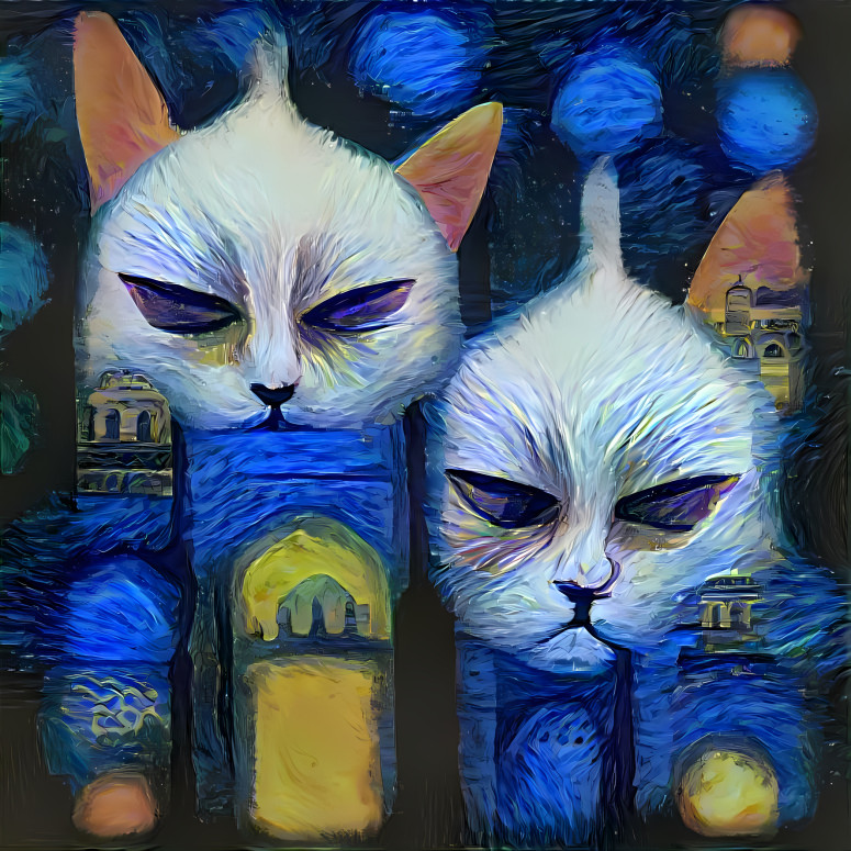 Istanbul Cats, Van Gogh Style