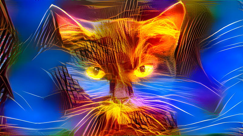 fiery cat 2