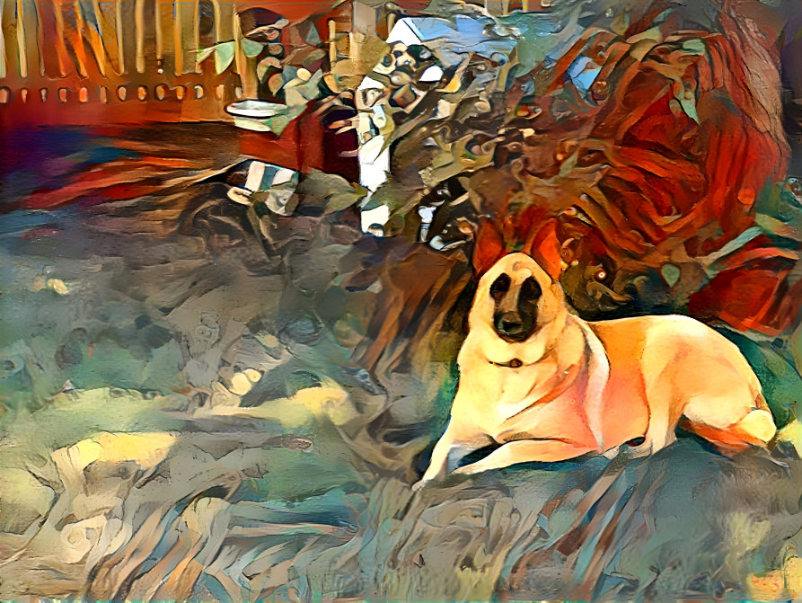 Dog in Yard II
