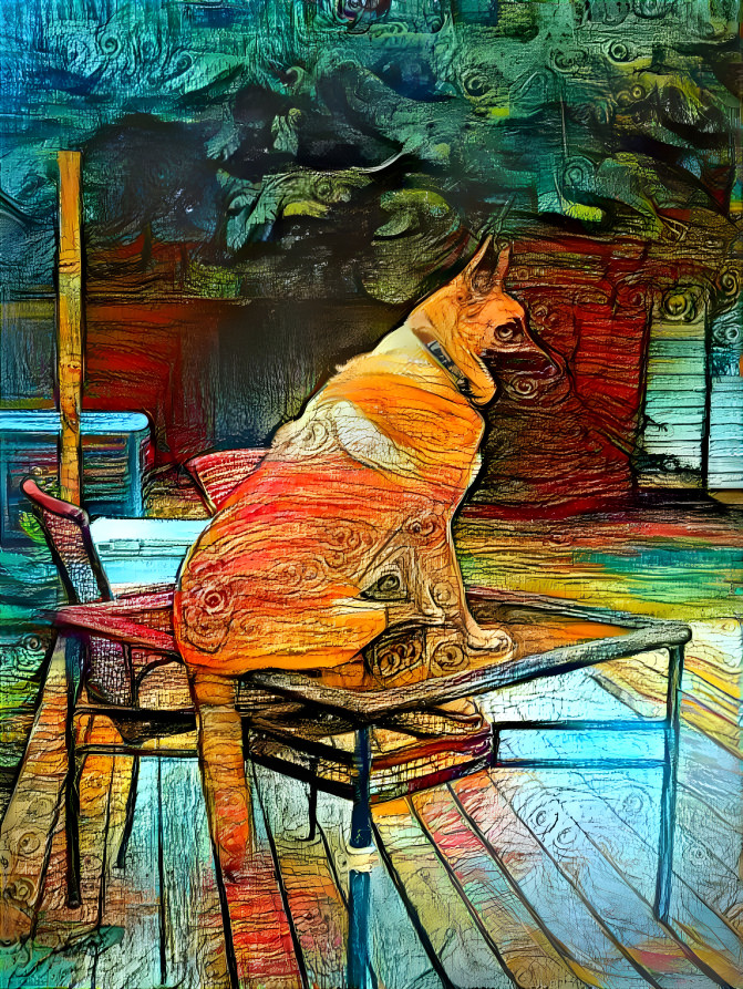 My Dog on Table