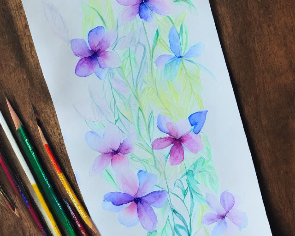 Purple flowers sketch with green leaves and colored pencils on wooden surface