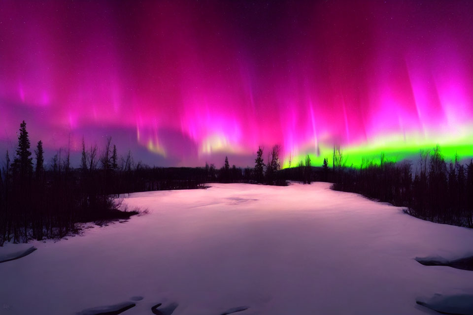 Stunning purple and green aurora borealis over snowy landscape