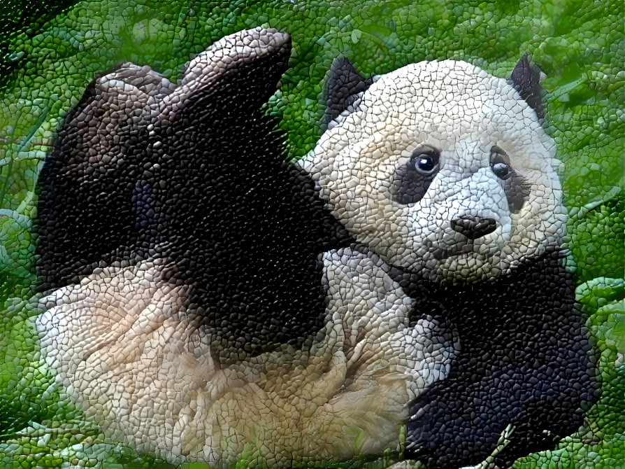 Playful Panda 