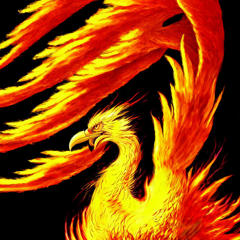 Vibrant digital art: Phoenix with fiery wings on black background