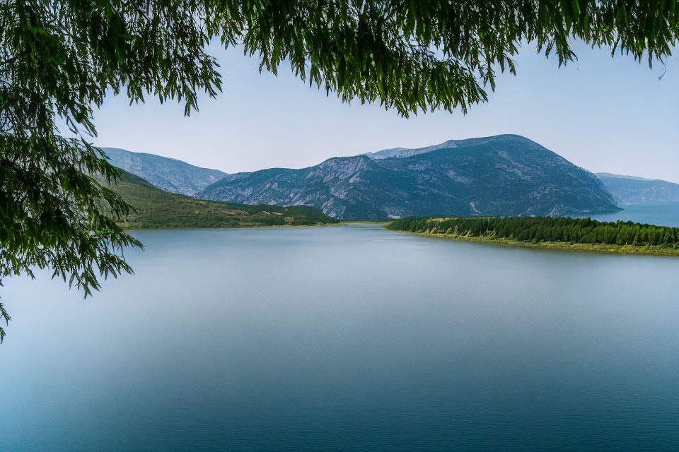 Scenic lake with forested mountains and overhanging tree branches