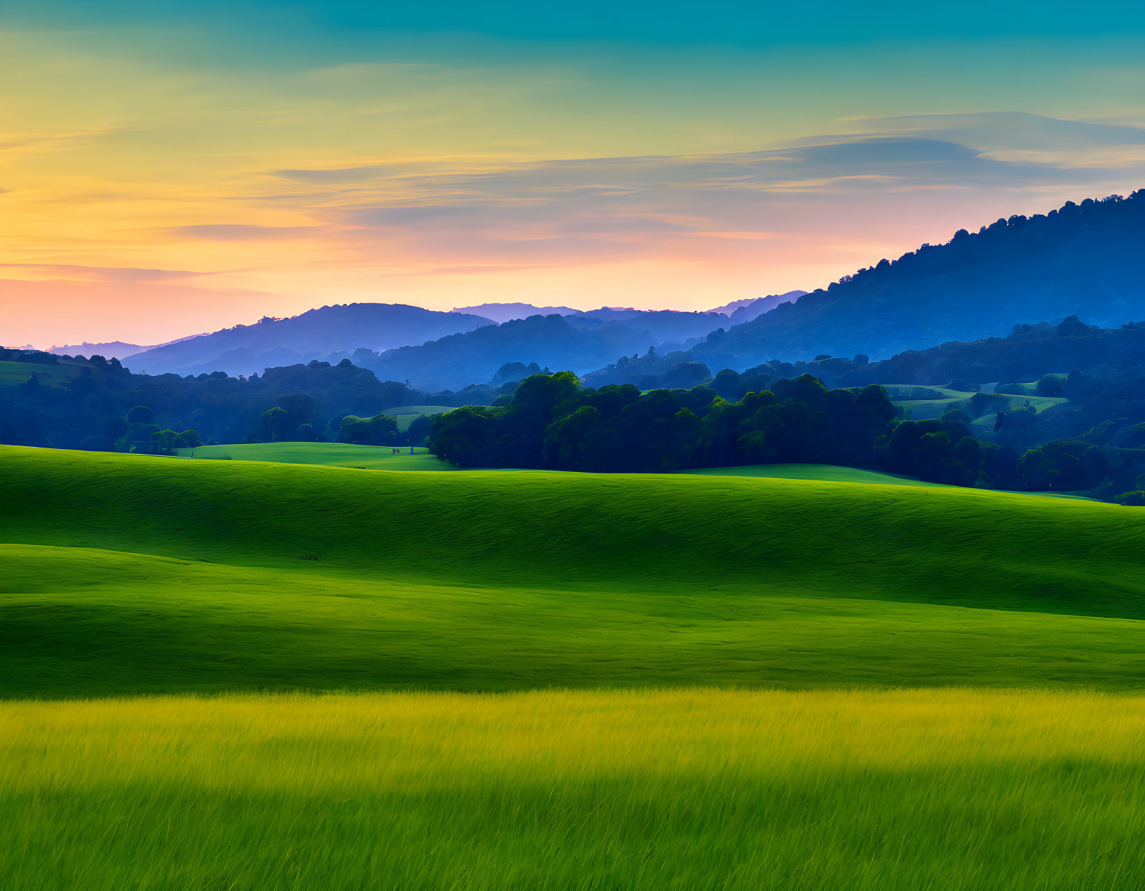 Picturesque Rolling Hills