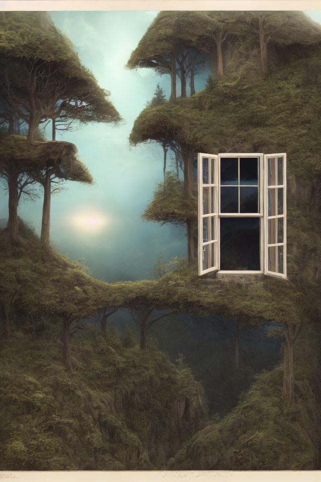 Surreal window among twisted trees in misty forest