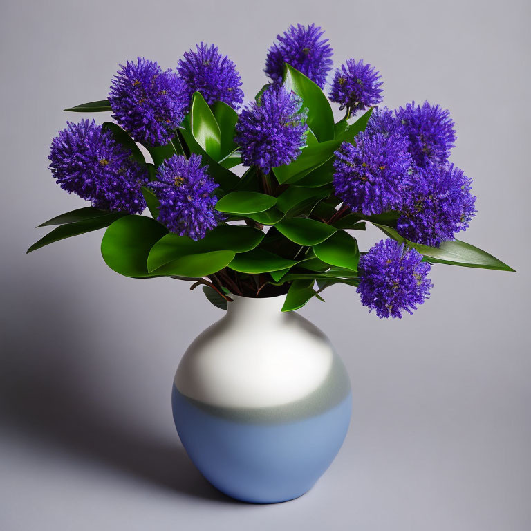 Gradient white to blue vase with vibrant purple flowers and green leaves