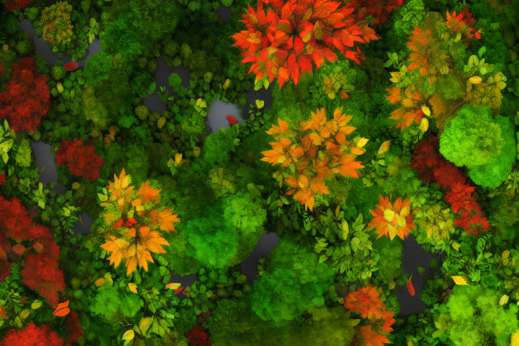 Aerial View of Vibrant Forest in Green, Orange, and Red