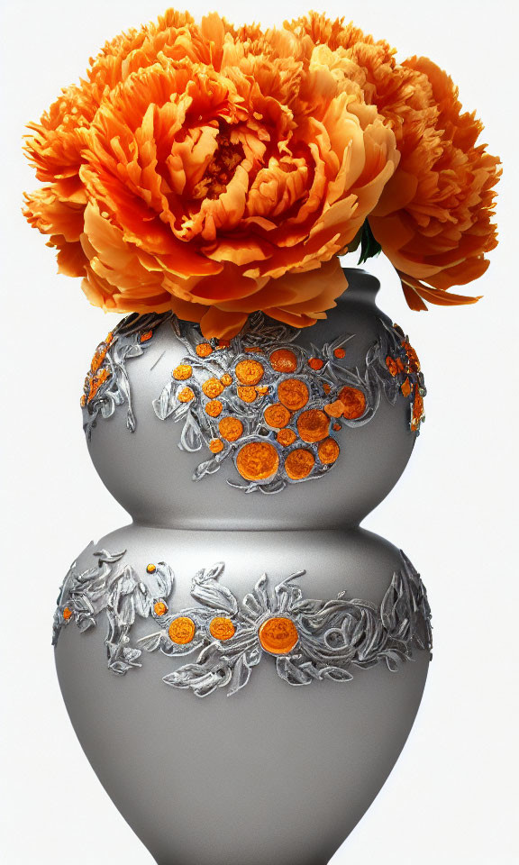 Orange Peony in Silver Vase on White Background