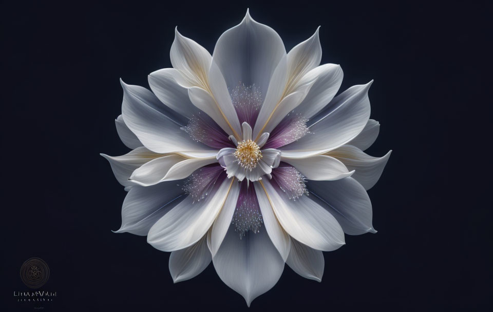 Symmetrical White and Pale Blue Flower Illustration with Purple Accents