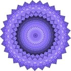 Symmetrical floral mandala artwork with purple and blue roses