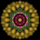Stylized digital art of yellow and purple flower layers