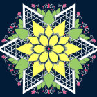 Symmetrical star mandala with intricate floral designs on dark background