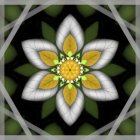 Symmetrical digital artwork: Floral pattern with petal-like shapes in white, yellow, blue, green