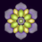 Symmetrical Yellow and Purple Flower Illustration on Dark Starry Background