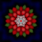 Vibrant red flower with layered petals and green leaves on dark blue background