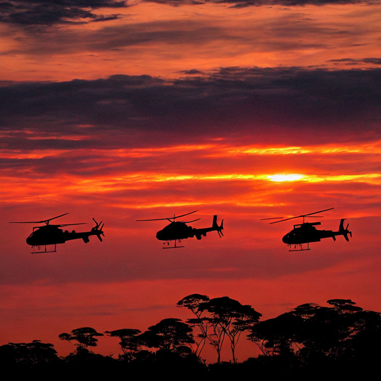Four helicopters in formation against vibrant sunset sky with clouds and treetops.