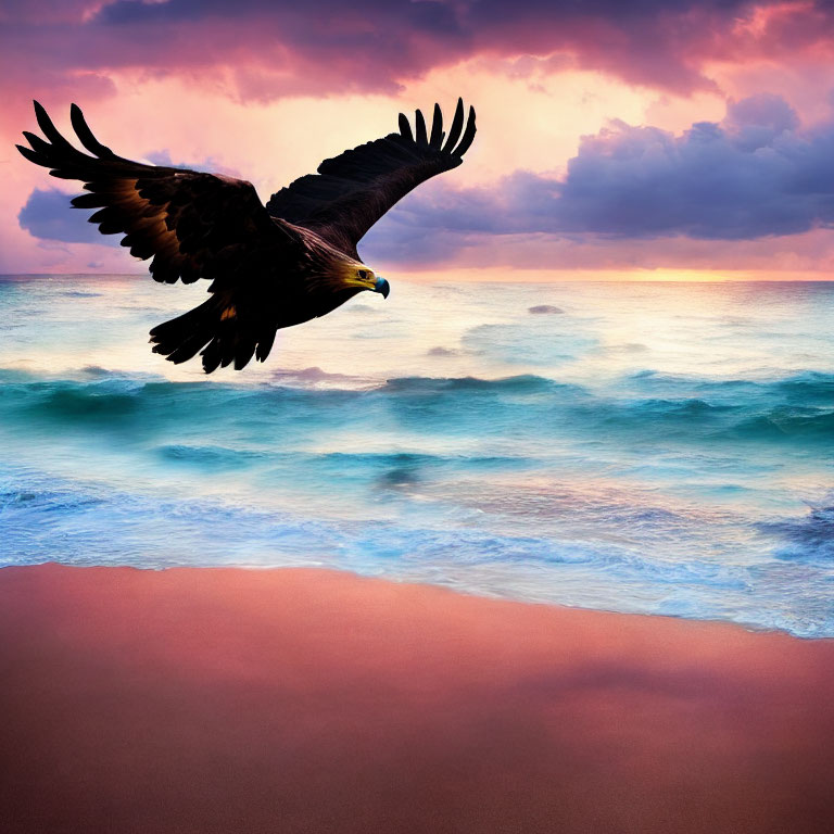 Eagle flying over beach waves at sunset