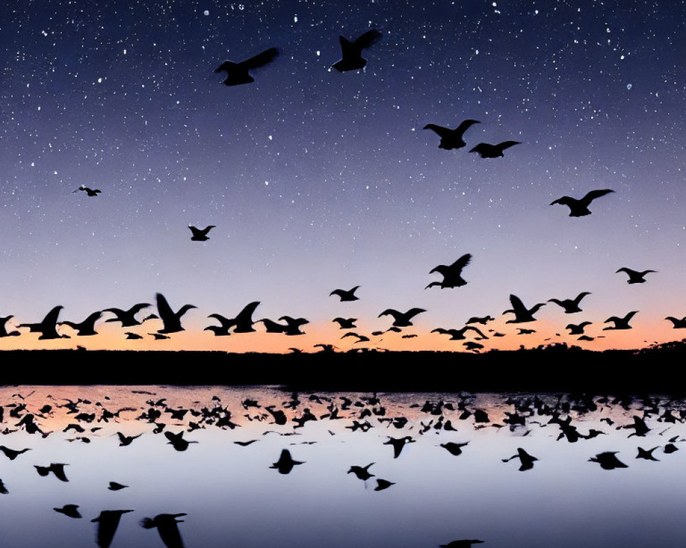 Twilight scene: Birds flying over water with star reflections