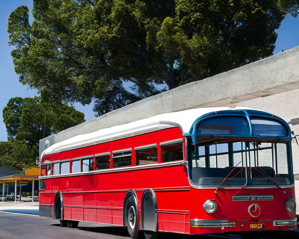 Vintage Red Double-Decker Bus Parked Under Tree on Sunny Day